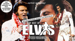 Het grootste Elvisconcert van Nederland
