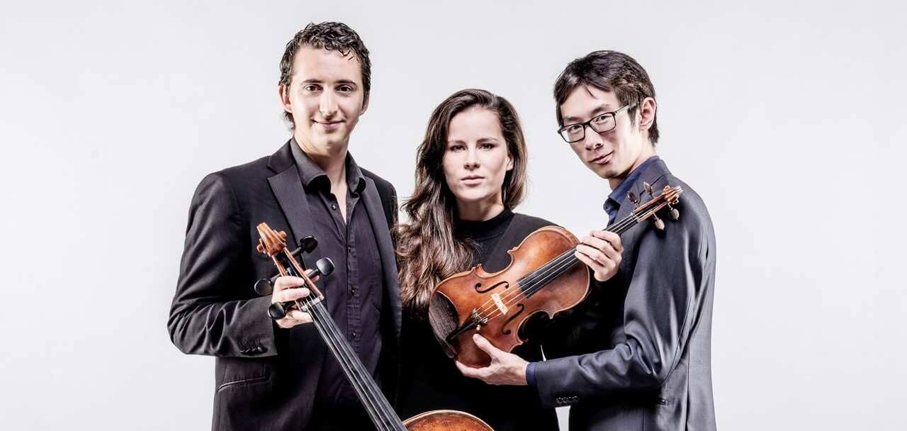 Amatis Trio Allard Willemse