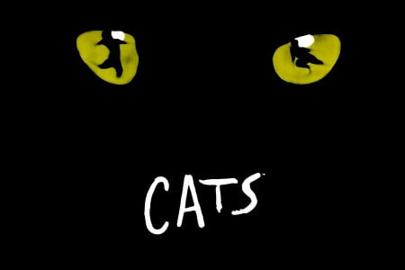 Theater aan Huis: CATS!
